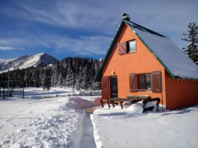 Orange House in nature Žabljak